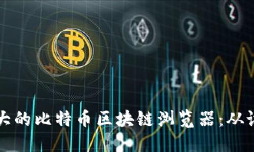 如何开发一个功能强大的比特币区块链浏览器：从设计到实现的全面指南